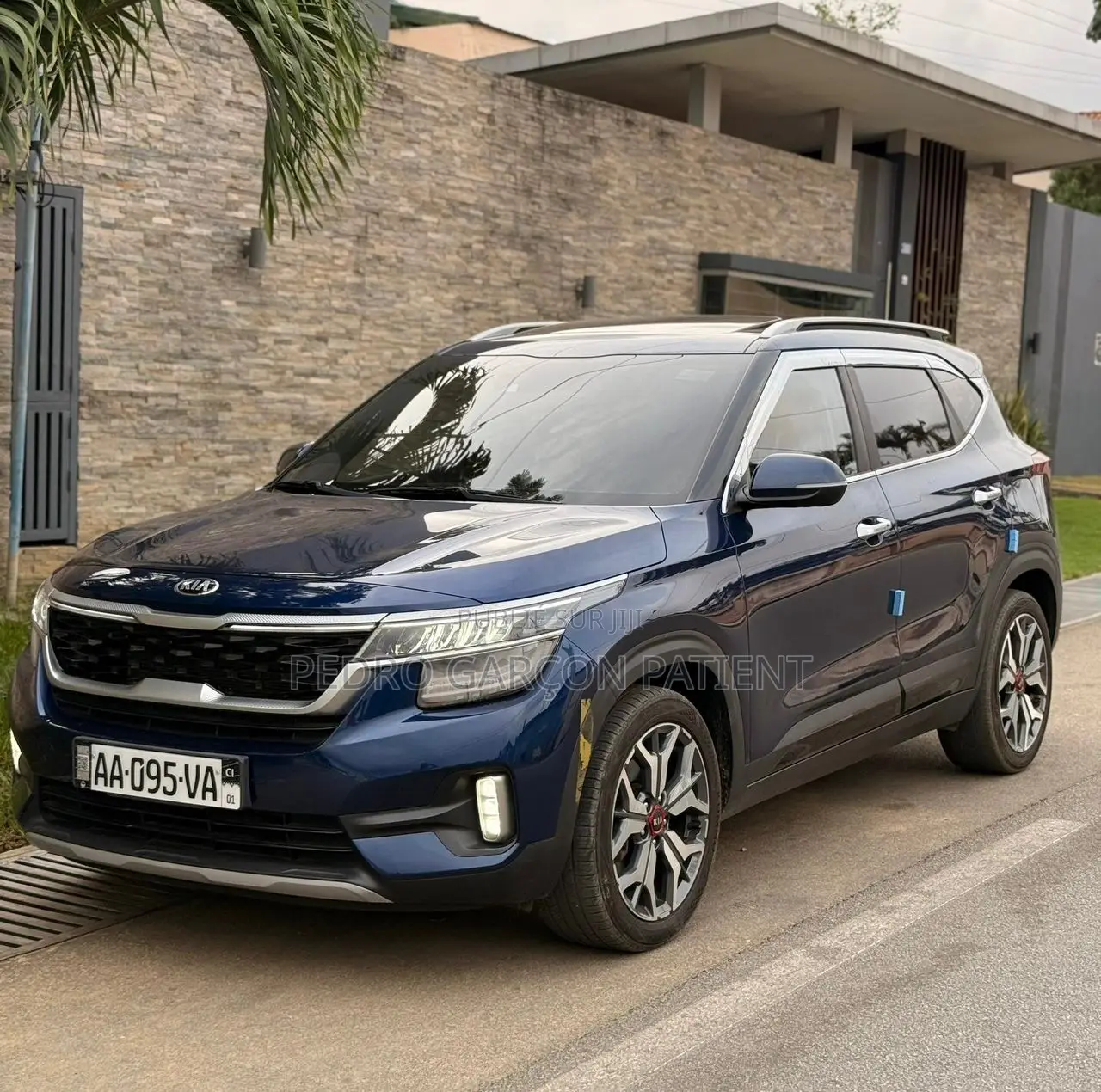Kia Seltos 2021 Blue