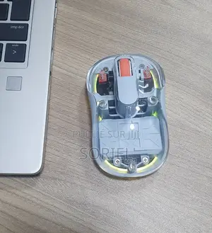 Souris RGB Rechargeable Transparente