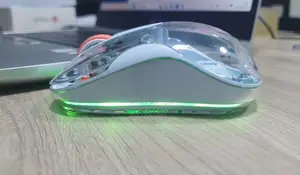 Souris RGB Rechargeable Transparente