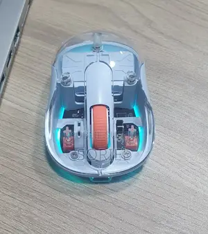 Souris RGB Rechargeable Transparente