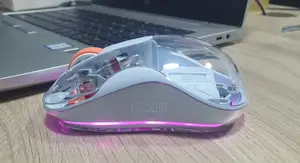 Souris RGB Rechargeable Transparente
