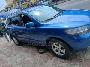Hyundai Santa Fe 2008 Blue