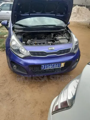 Kia Rio 2013 Violet