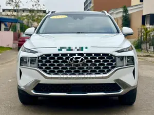 Photo - Hyundai Santa Fe Calligraphy 2022 Blanc