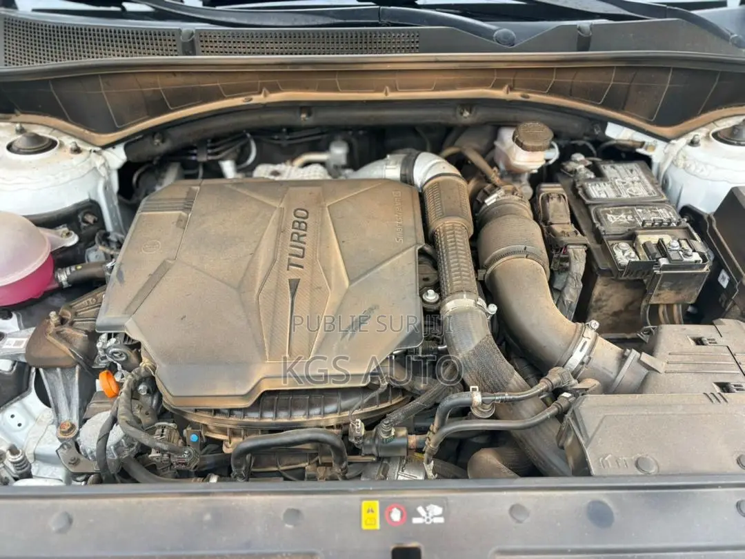 Hyundai Santa Fe Calligraphy 2022 Blanc