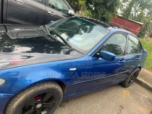 BMW 3 Series 316i RWD 2004 Blue
