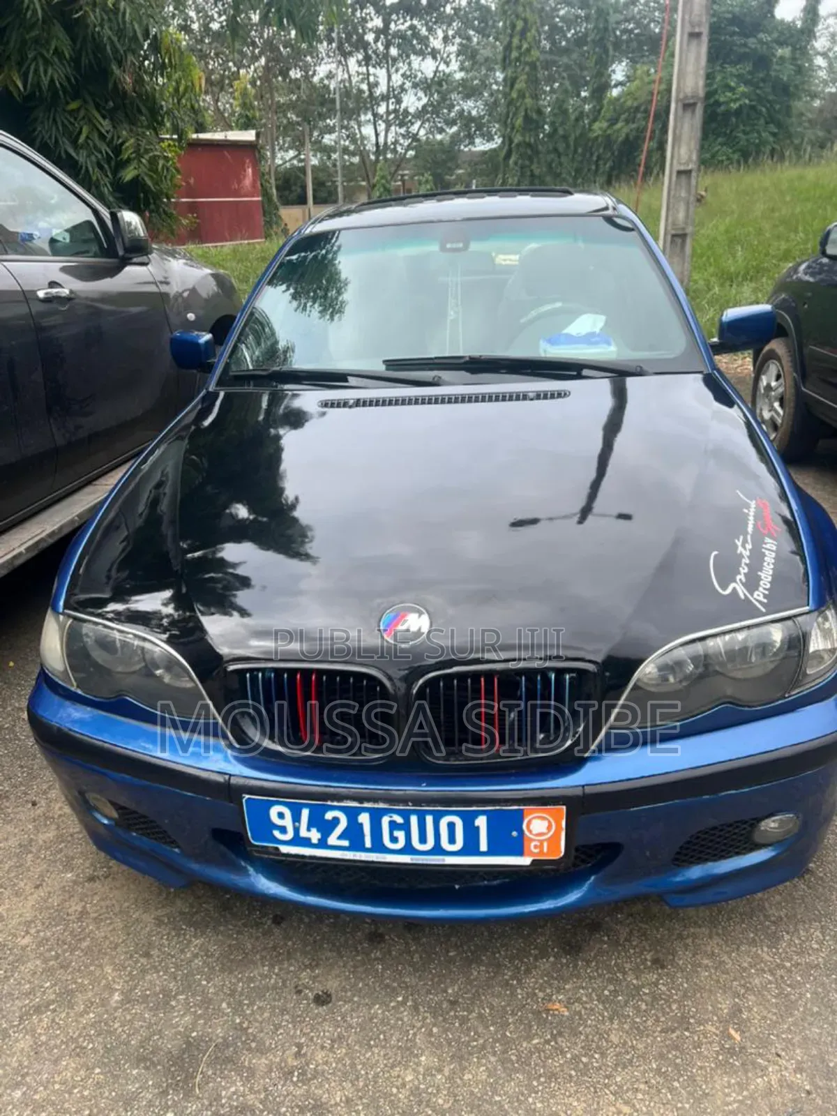 BMW 3 Series 316i RWD 2004 Blue