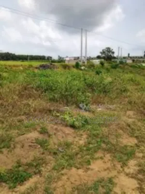 Photo - Terrain À Vendre À Bingerville