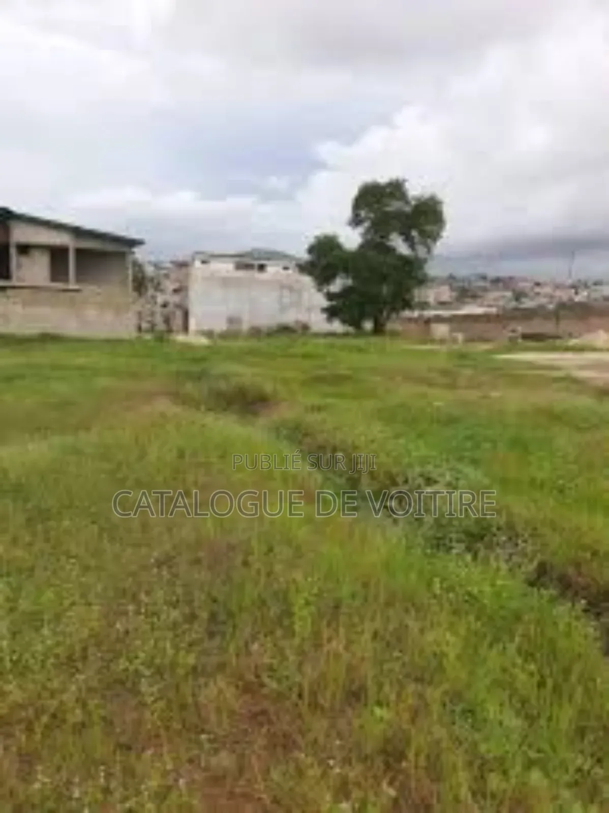 Terrain À Vendre À Bingerville