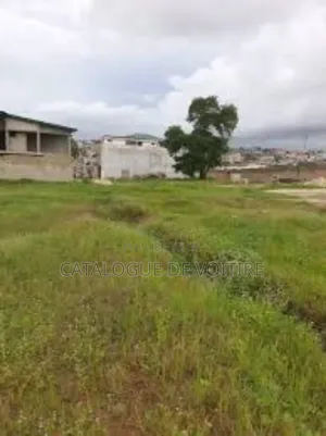 Terrain À Vendre À Bingerville