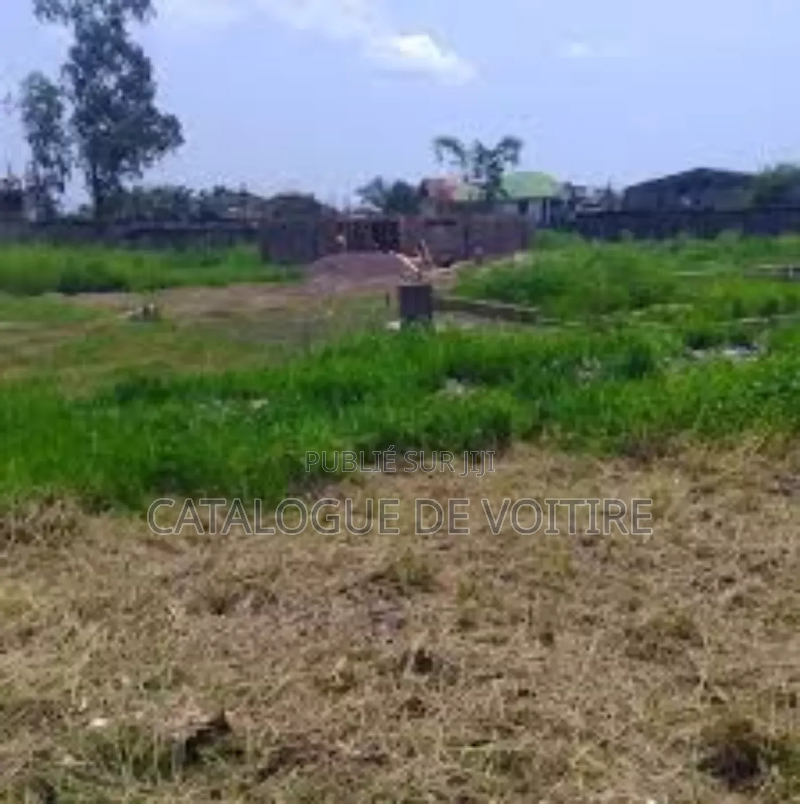 Terrain À Vendre À Bingerville