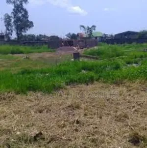 Terrain À Vendre À Bingerville