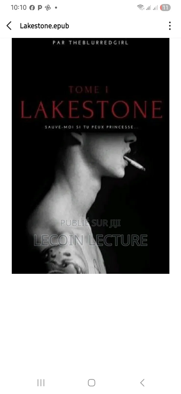 Lakestone T1