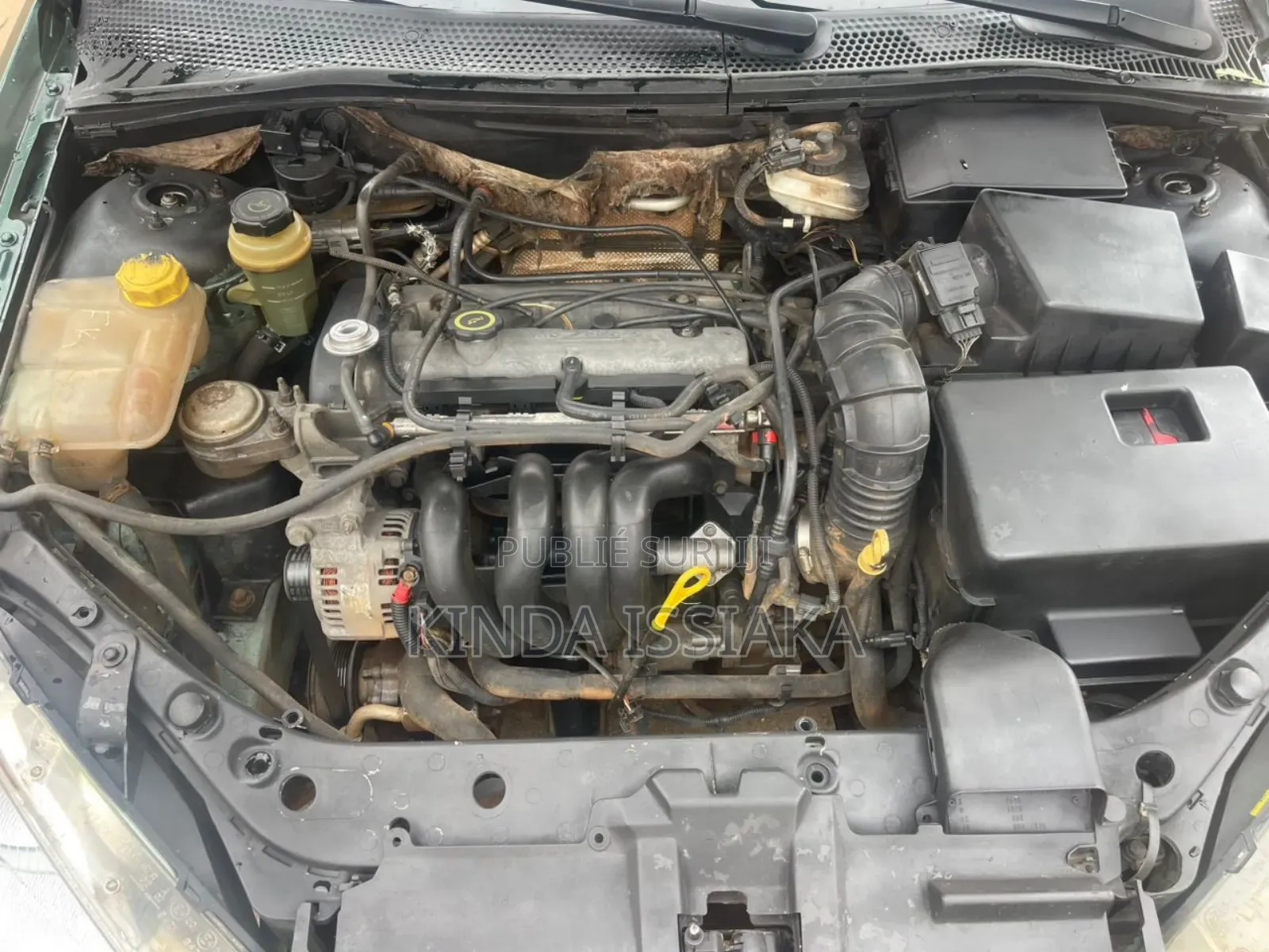 Ford Focus 2.3 2000 Vert