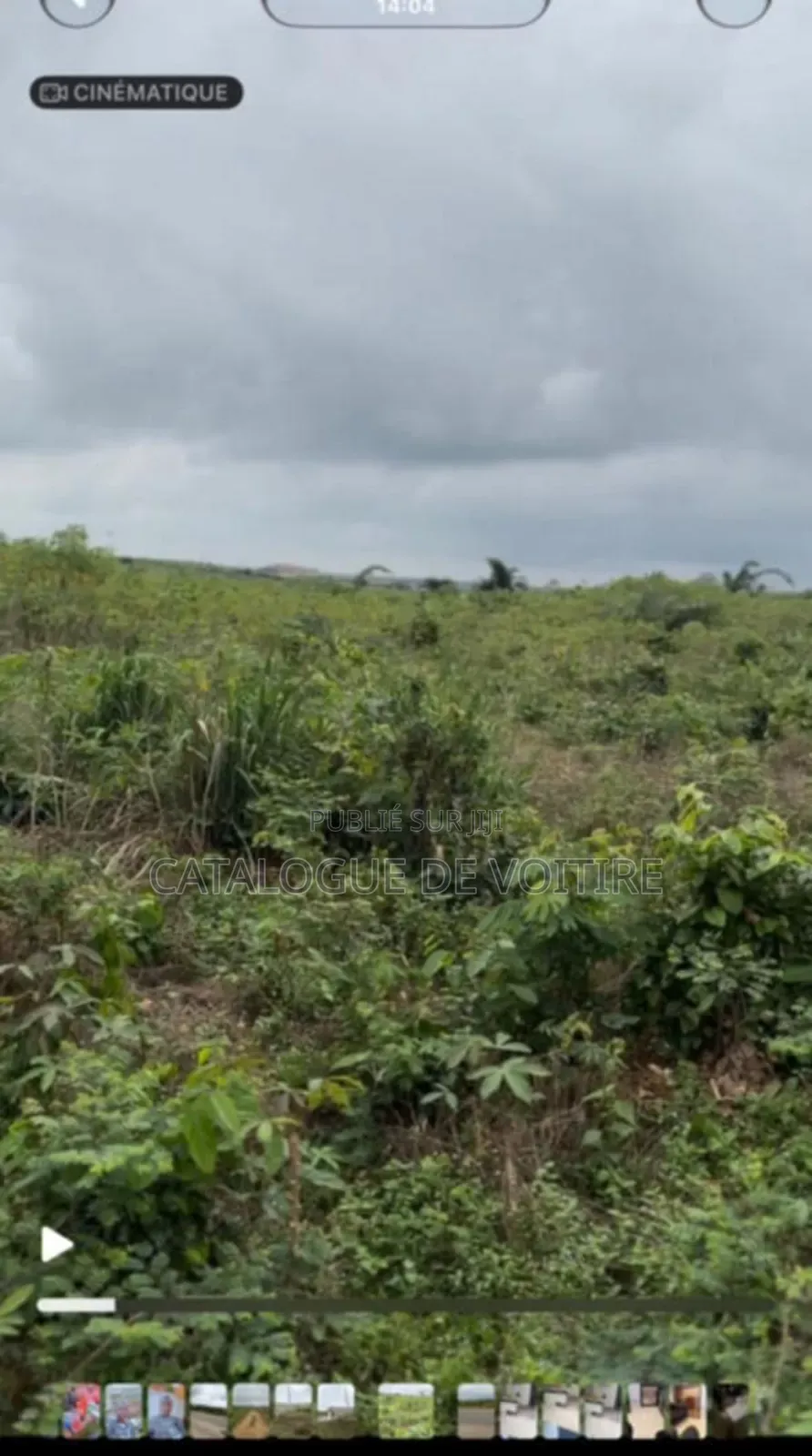 Des Terrains en Vente À Songon