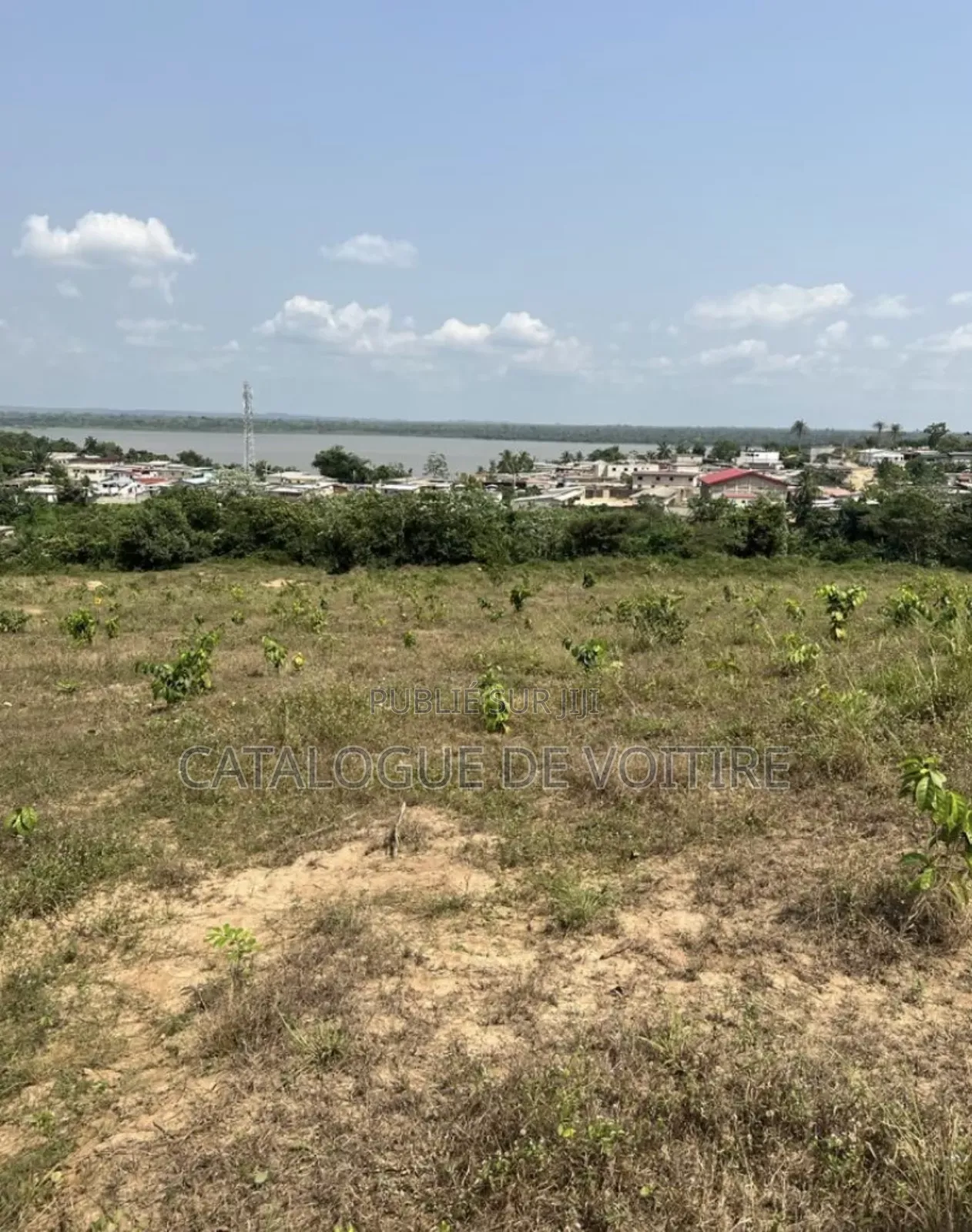 Des Terrains en Vente À Songon