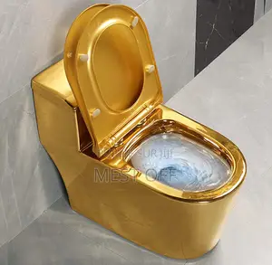 Wc Sanitaire en Céramique Luxueux Couleur Or