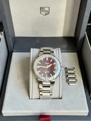 Montre Authentique Et De Luxe Oris 2024