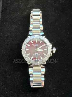 Montre Authentique Et De Luxe Oris 2024