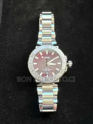 Montre Authentique Et De Luxe Oris 2024