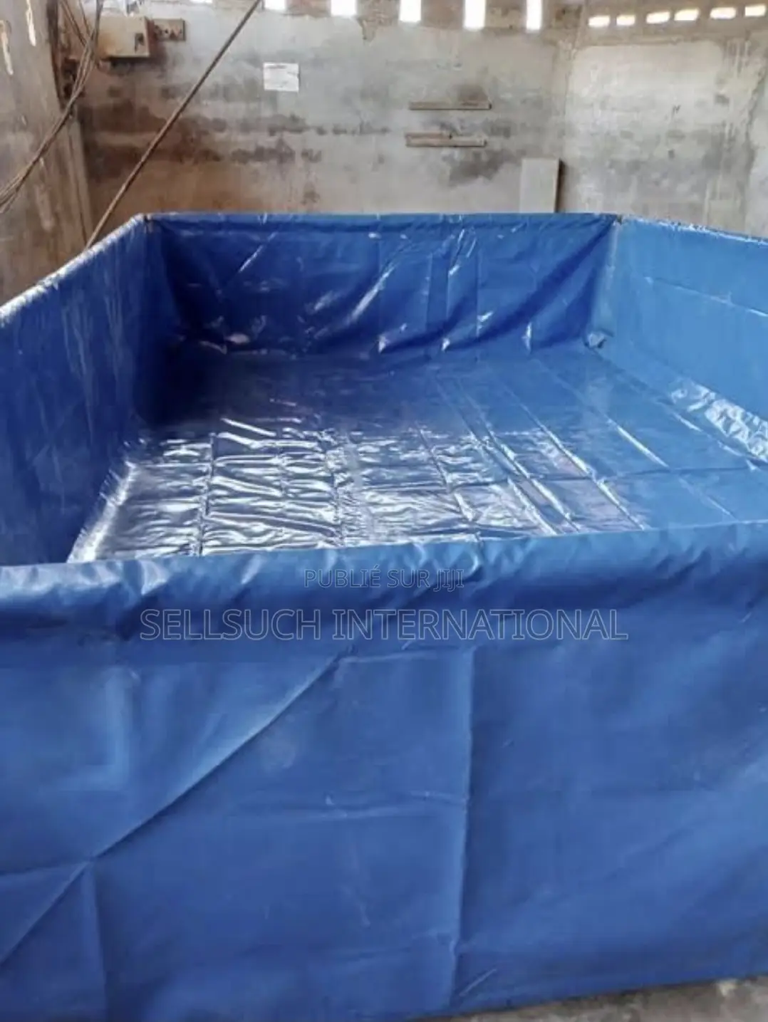 Pisciculture Domestique Rentable Tilapia Et Catfish