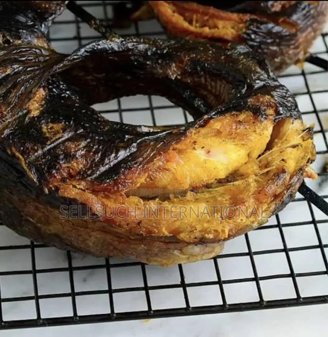 Pisciculture Domestique Rentable Tilapia Et Catfish