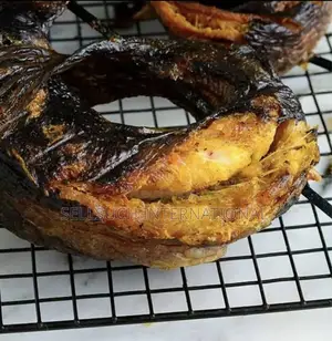 Pisciculture Domestique Rentable Tilapia Et Catfish