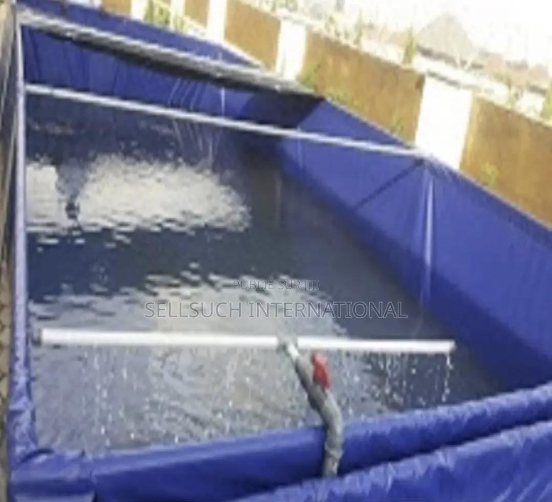 Pisciculture Domestique Rentable Tilapia Et Catfish