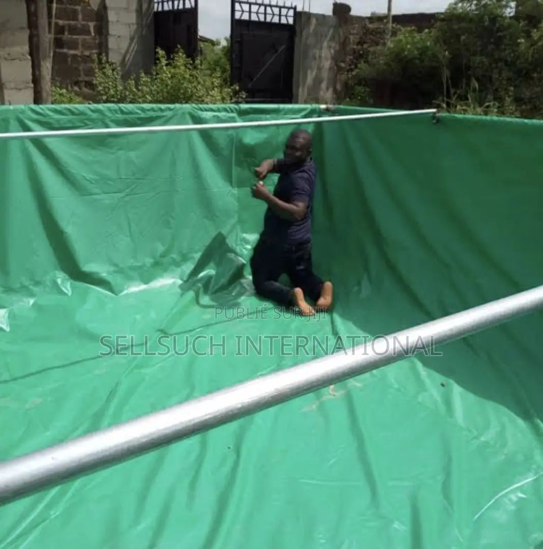 Pisciculture Domestique Rentable Tilapia Et Catfish