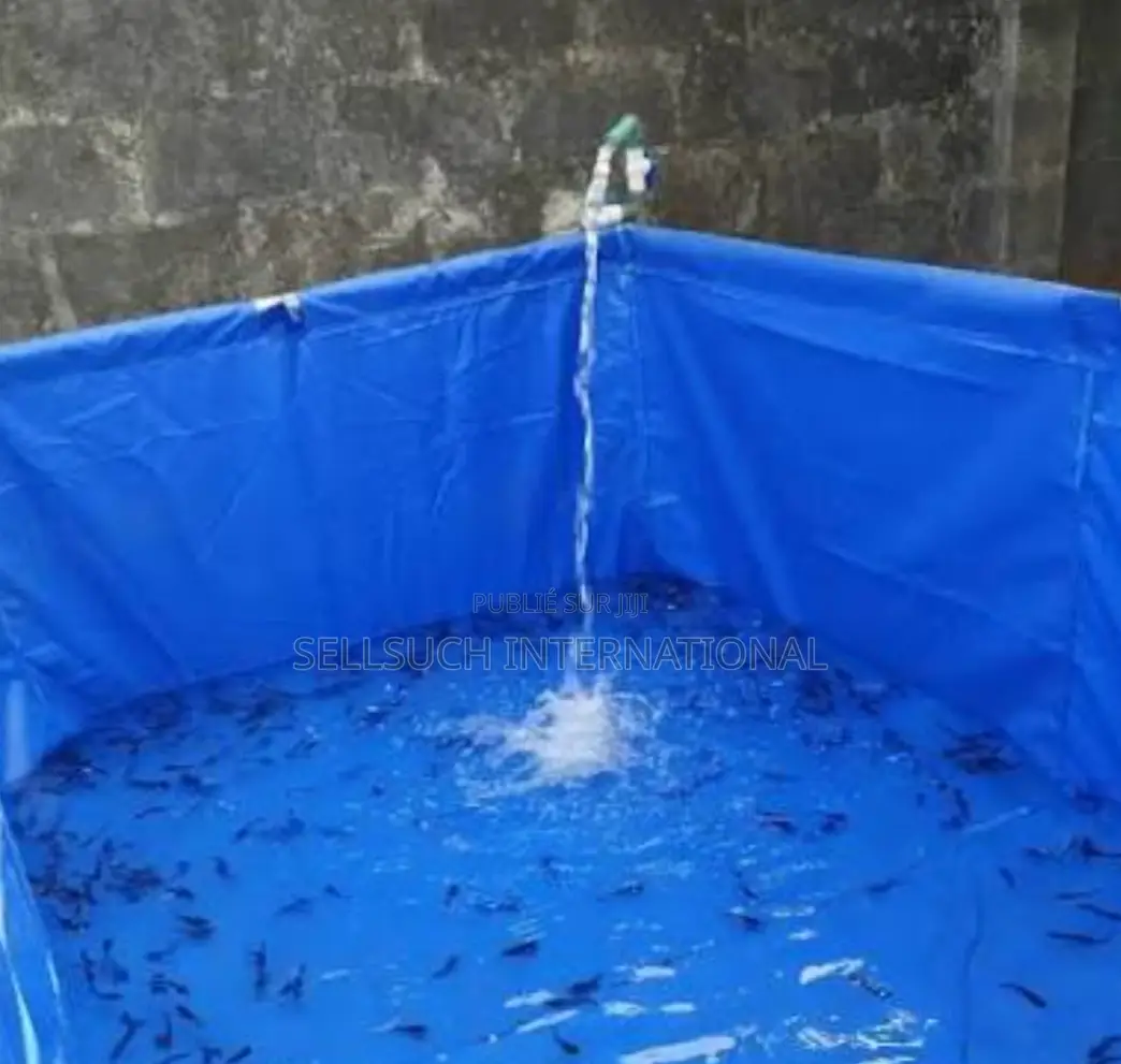 À Croissance Rapide Alevins De Poisson-chat Et De Tilapia