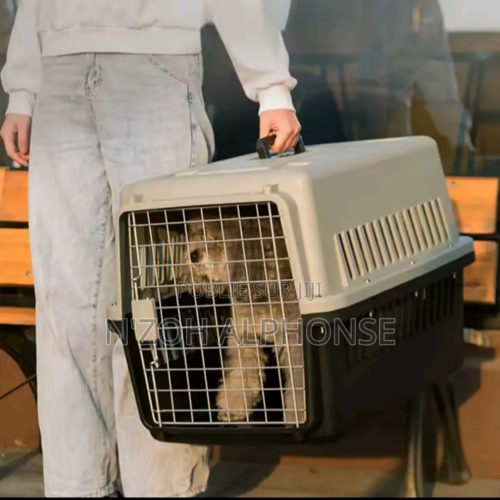 Cages De Transport Pour Animal De Compagnie