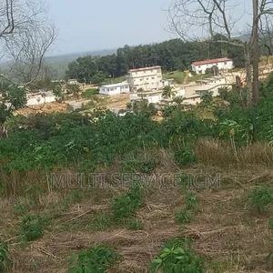 Kdo Kdo Opportunités À Saisir Bingerville Adjin Terrain en Vente E