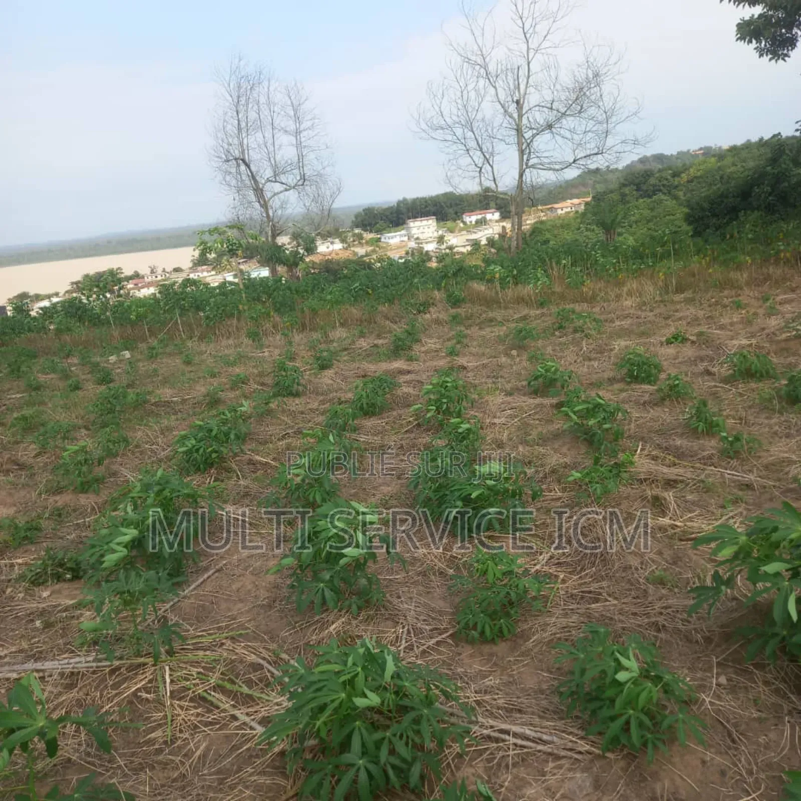 Kdo Kdo Opportunités À Saisir Bingerville Adjin Terrain en Vente E