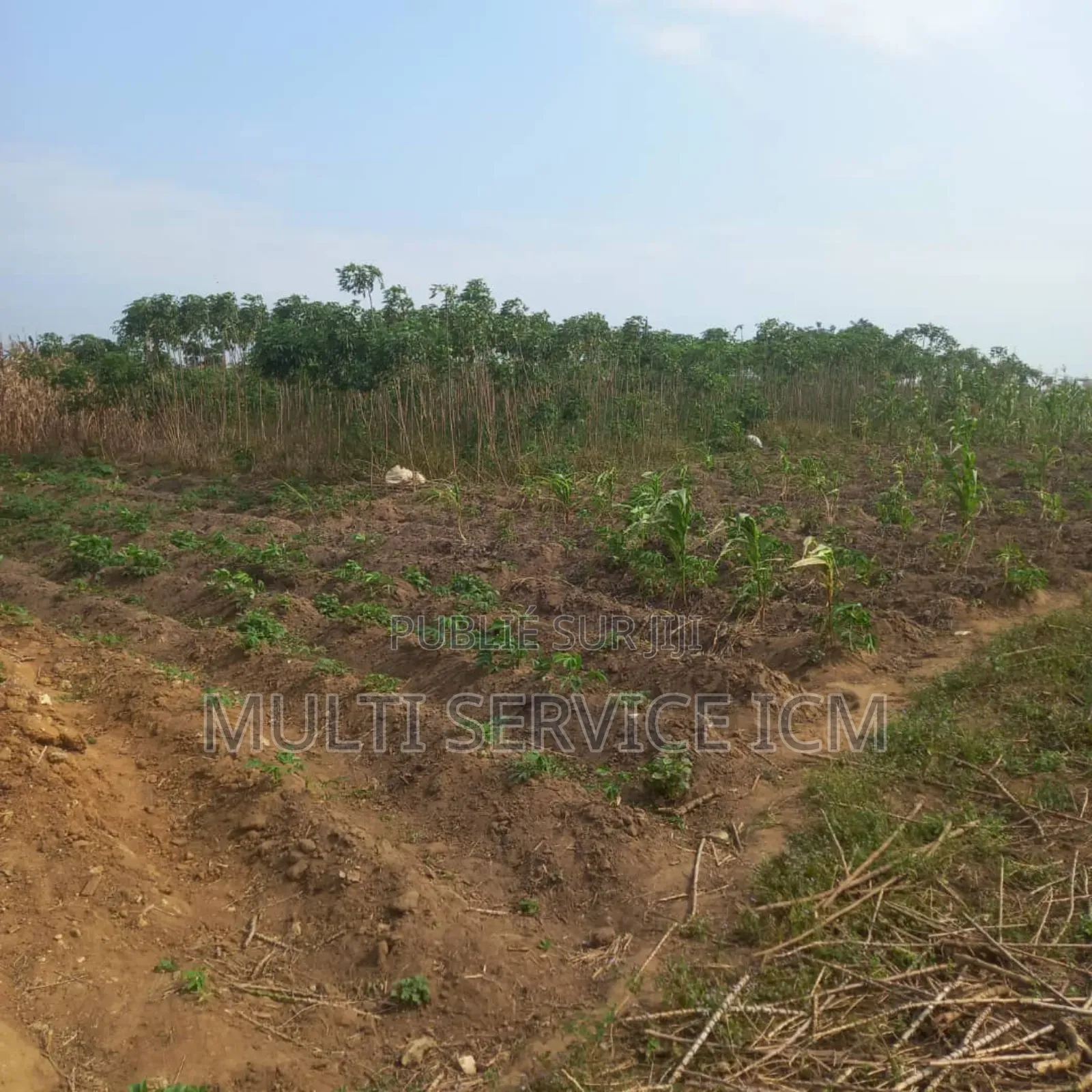 Kdo Kdo Opportunités À Saisir Bingerville Adjin Terrain en Vente E