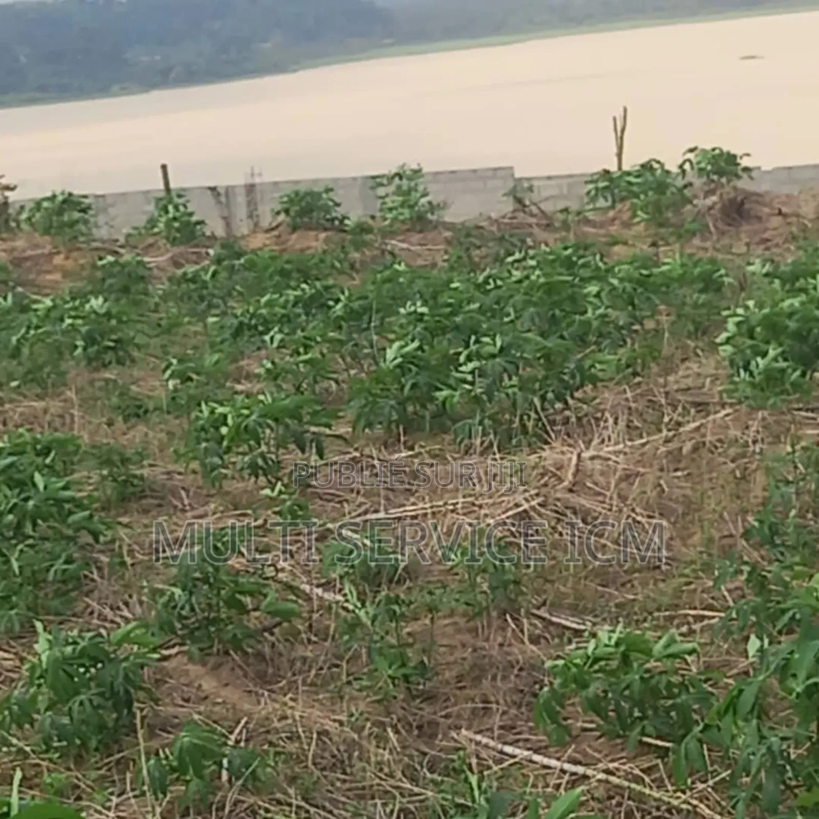 Kdo Kdo Opportunités À Saisir Bingerville Adjin Terrain en Vente E