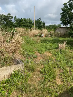 Photo - Songon M'brathe Cité Du Bonheur