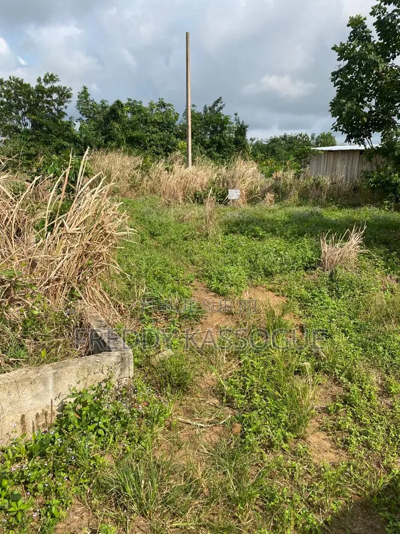 Songon M'brathe Cité Du Bonheur