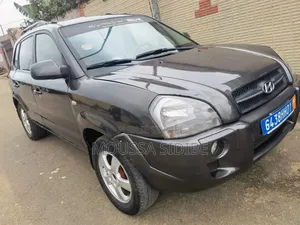 Photo - Hyundai Tucson 2006 Gris