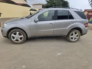 Mercedes-Benz M Class 2006 Gris