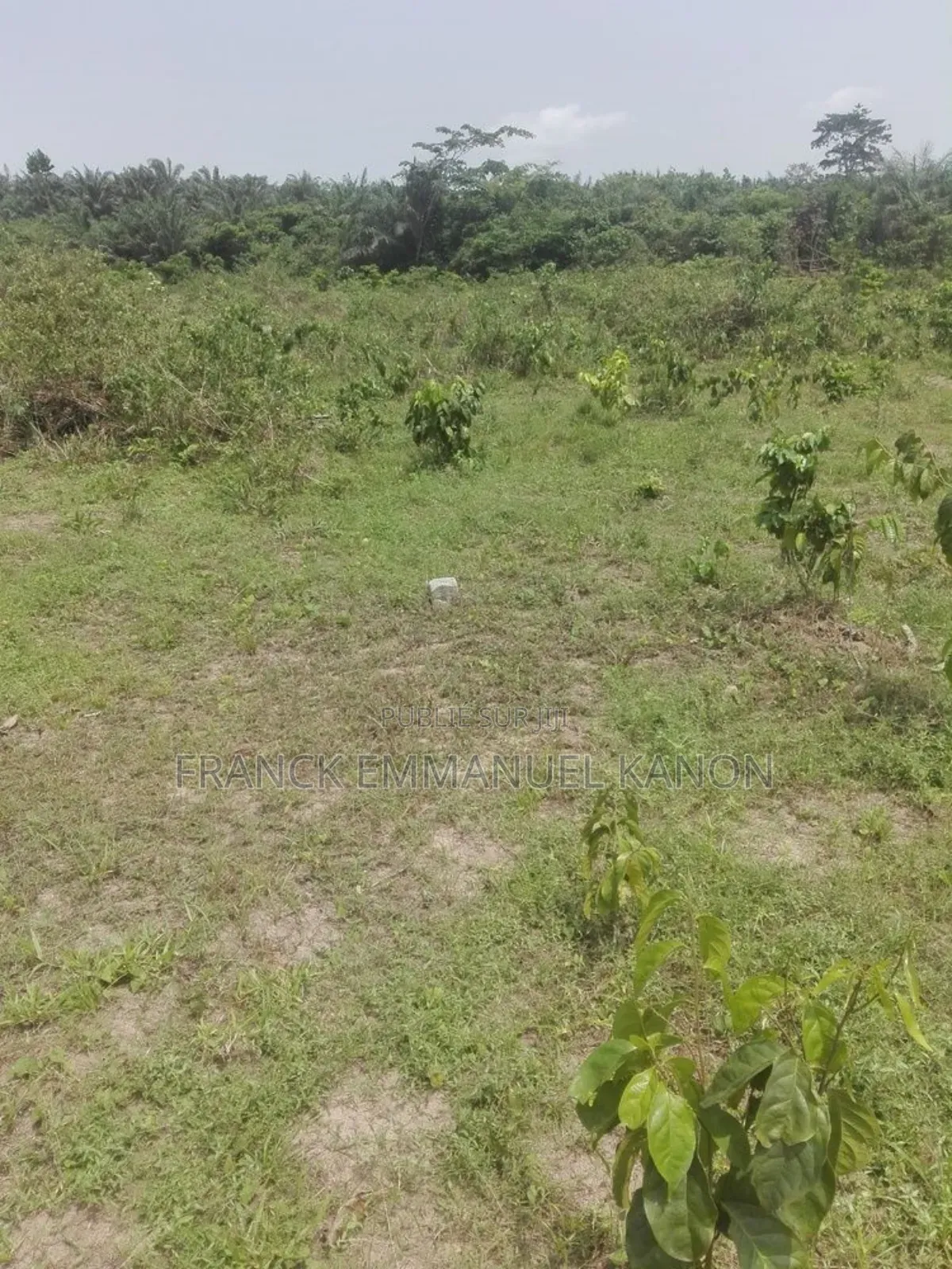 Terrain 500m2 a Songon