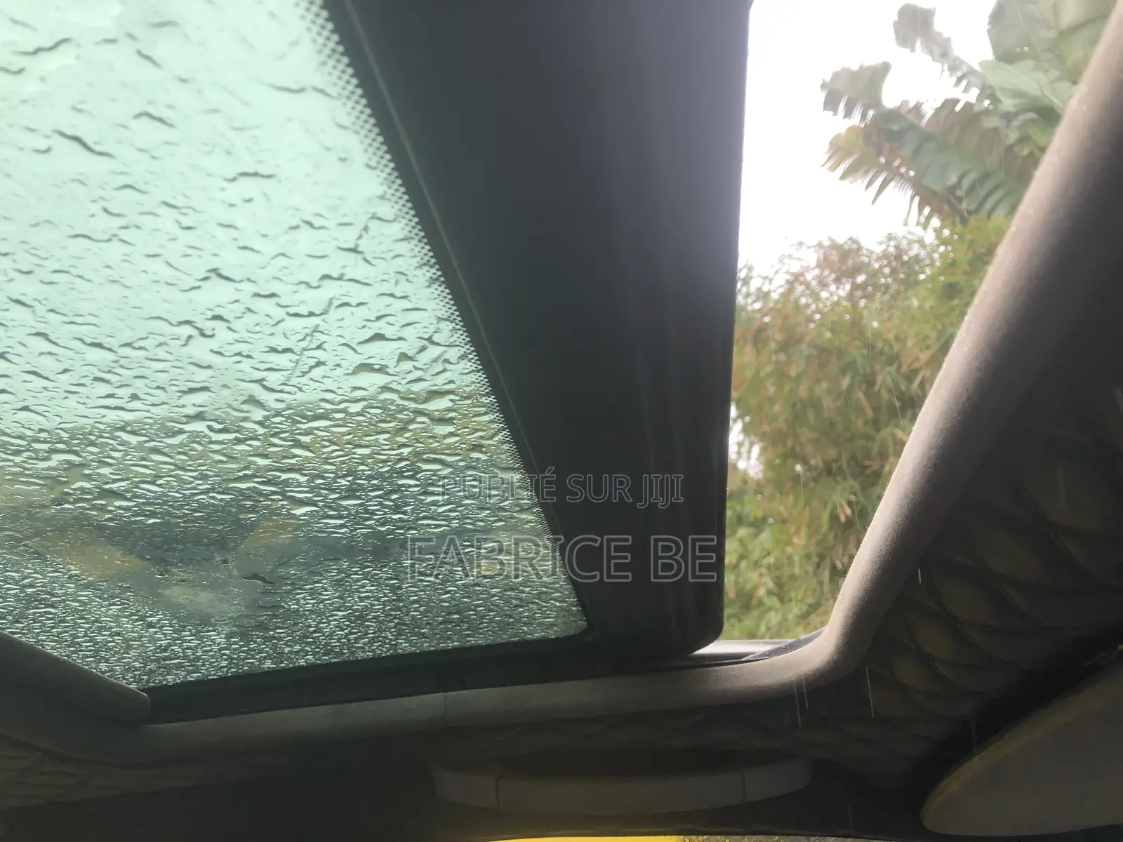 BMW 320i Sedan RWD 1999 Gris