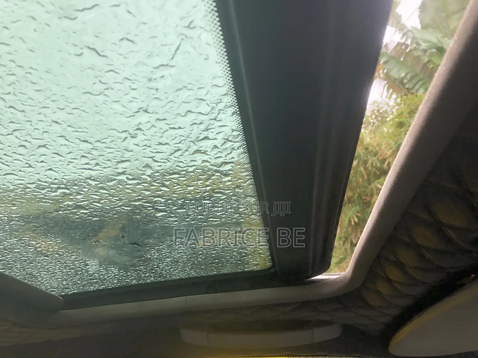 BMW 320i Sedan RWD 1999 Gris