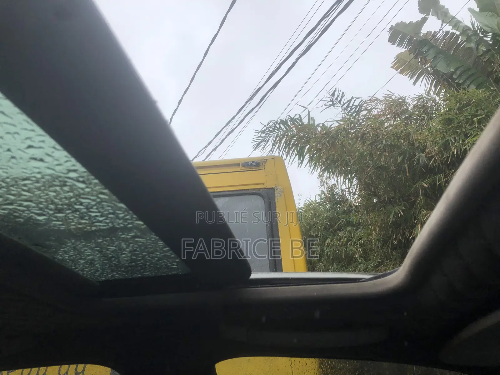 BMW 320i Sedan RWD 1999 Gris