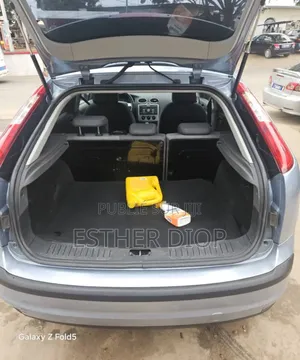 Ford Focus 2009 Gris