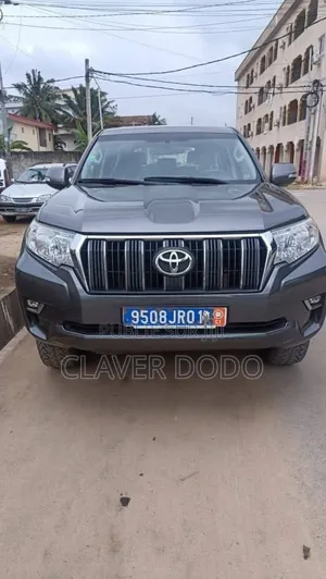 Toyota Land Cruiser 2019 Gris