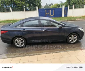 Hyundai Sonata 2011 Blue