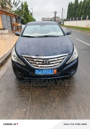 Hyundai Sonata 2011 Blue