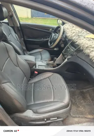 Hyundai Sonata 2011 Blue