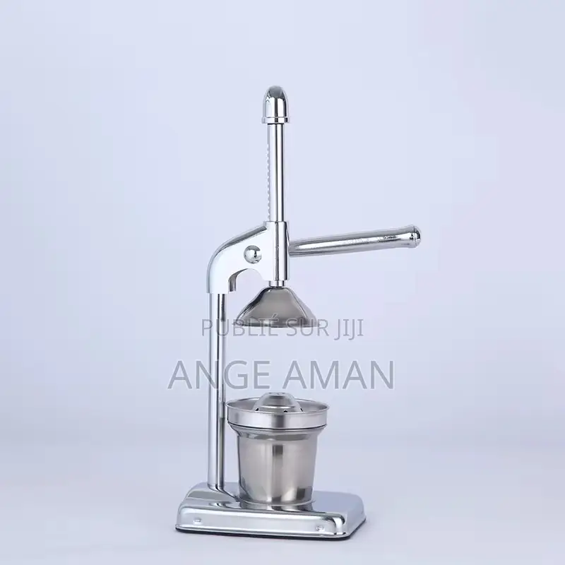 Presse-Agrumes Extracteur De Jus Portable, Légumes Fruits