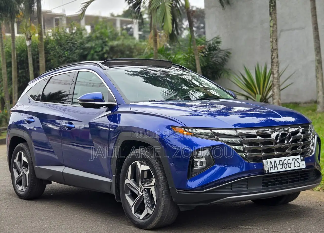 Hyundai Tucson Limited 2022 Blue